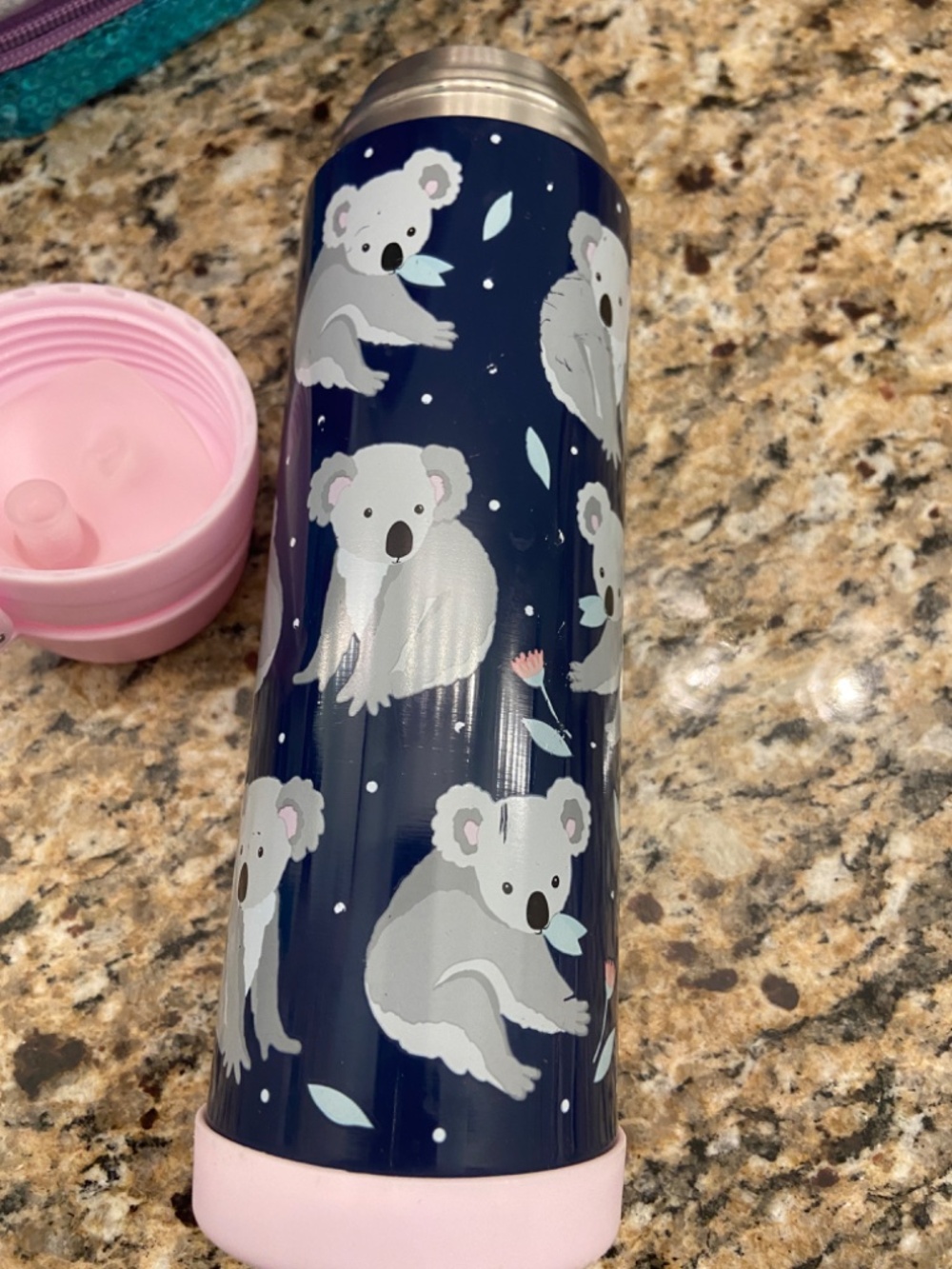Koala Pottery Barn Kids Water Bottle 17 fl oz